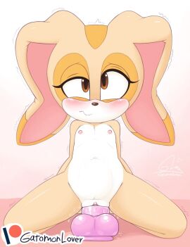 1girls 2020s 2024 animal_ears anthro anthro_female anthro_only anthro_solo arms_behind_back artist_name ass bare_legs bare_shoulders blush breasts brown_eyes brown_nose bunny bunny_girl clitoris collarbone completely_nude cream_the_rabbit cub dildo dildo_riding eyelashes female female_cub female_masturbation female_only flat_chest full_body fur furry furry_female furry_only gatomonlover genitals girly gluteal_fold gradient_background kneeling lagomorph legs_apart long_ears looking_at_viewer mammal masturbation mobian_(species) navel nipples nude nude_female pussy pussy_juice rabbit rabbit_ears rabbit_girl rabbit_humanoid sega sex_toy simple_background small_breasts solo solo_anthro solo_female sonic_(series) sonic_team sonic_the_hedgehog_(series) stomach tan_fur thick thick_ass thick_butt thick_thighs trembling uncensored url video_games wavy_mouth wide_hips young young_anthro young_female