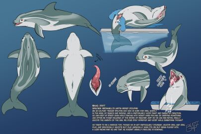 ambiguous_gender animal_genitalia animal_penis anus benji_(artist) blowhole blue_background blush bodily_fluids cetacean cetacean_genitalia cetacean_penis crying cum cum_drip cum_in_mouth cum_inside cum_on_chest cum_on_chin cum_on_ground disembodied_hand dolphin drift_(benji) dripping english_text feral genital_fluids genital_slit genitals gradient_background hi_res high-angle_view lying male male_(lore) mammal marine model_sheet on_back open_mouth orange_eyes partially_submerged penis pink_anus poolside simple_background slightly_chubby slightly_chubby_feral slit_play solo_feral solo_male tapering_penis tears text toothed_whale underside_view