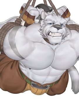 1boy abs animal_ears bara blue_eyes bondage brown_pants bulge chinese_commentary claws clenched_teeth fangs fingerless_gloves furry furry_male gloves highres looking_at_viewer male male_focus mercenary_(zero_kara_hajimeru_mahou_no_sho) pants pectorals shiling_(shiling_100) tail teeth tiger_boy tiger_ears tiger_stripes tiger_tail topless_male white_background yaoi zero_kara_hajimeru_mahou_no_sho