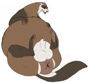 anatomically_correct_feet animal_genitalia anus balls big_anus big_balls domestic_ferret eyewear feral genitals glasses hands_on_stomach huge_anus hyper hyper_anus male mammal mustelid musteline obese obese_feral overweight overweight_feral penis puffy_anus sheath solo solo_focus true_musteline vincent_(artist) vincent_(vincent) weasel