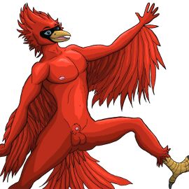 anthro avian avian_feet balls beak bird cardinal_(bird) digital_media_(artwork) feathers genitals hi_res male nipples nude nude_anthro nude_male oscine passerine penis red_body solo tail tail_feathers tasteful triadfox wings