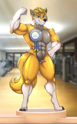 absurd_res anthro award award_ribbon balls blake_gibson canid canine canis flexing genitals gym hi_res male mammal micropenis muscular muscular_male penis proud small_balls small_penis small_penis_appreciation solo tatamil wolf