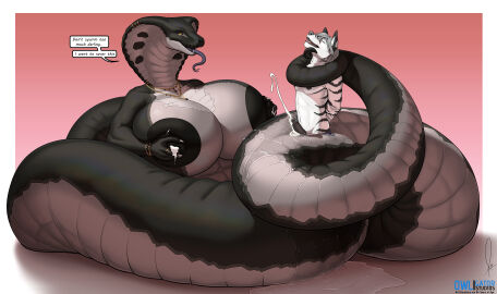 absurd_res anthro anthro_pred apode areola belladonna_(zwerewolf) belly belly_scales big_breasts black_areola black_body black_nipples black_scales bodily_fluids bracelet breasts canid canine canis cobra countershade_torso countershading dialogue draconcopode duo ejaculation facial_piercing felid female female_pred genital_fluids genitals grey_body grey_scales hair hi_res huge_breasts hybrid jewelry lactating larger_female legless lip_piercing male male/female mammal naga nipples nude owligatorstudios pantherine partially_inside piercing pussy python reptile scales scalie serpentine simple_background size_difference smaller_male snake snake_hood snakebite_piercing tail text tiger tongue unbirthing vaginal_fluids vaginal_penetration vore white_background wolf zal