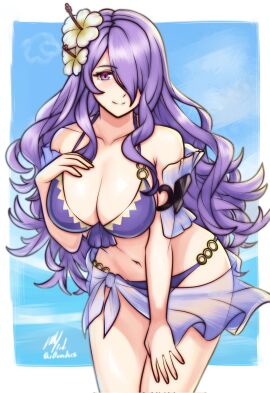 breasts camilla_(fire_emblem) female female_only fire_emblem fire_emblem_fates looking_at_viewer nintendo purple_hair rotomdocs solo swimsuit