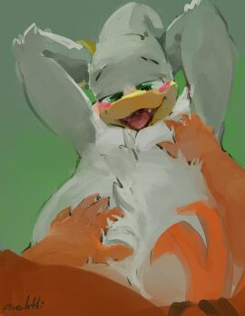 anatid anseriform anthro avian beak bird blush domestic_cat duck duo feathers felid feline felis fellatio fingers_through_hair grope hi_res male male/male mammal oral oselotti oselotti_(character) penile penis quill_wonderfowl sex solo_focus