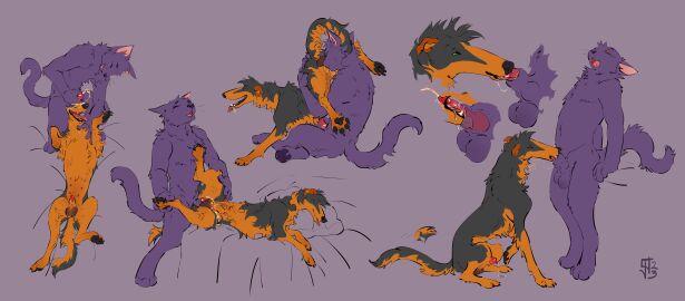 absurd_res animal_genitalia animal_penis anthro anthro_on_feral anthro_penetrated anthro_penetrating anthro_penetrating_feral balls barbed_canine_penis biped blowjob bodily_fluids borzoi canid canine canine_genitalia canine_penis canis claws domestic_cat domestic_dog drinking drinking_urine duo erection fangs feelferal felid feline felis fellatio feral feral_penetrated feral_penetrating feral_penetrating_anthro fingers fur genital_fluids genitals hi_res hunting_dog hybrid_genitalia hybrid_penis interspecies knot knot_in_sheath male male/male male_penetrated male_penetrating male_penetrating_male mammal open_mouth open_smile oral oral_penetration pawpads paws peeing penetration penile penile_spines penis penis_in_mouth precum purple_body purple_fur quadruped sex sheath sighthound smile tail tail_motion tailwag teeth tongue tongue_out tongue_out_blowjob urine urine_in_mouth watersports whiskers zoophilia