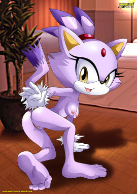 1girls anthro ass barefoot bbmbbf blaze_the_cat breasts feline female female_only gloves looking_at_viewer mobian_(species) mobius_unleashed nipples nude nude_female open_mouth palcomix purple_fur pussy sega solo sonic_(series) sonic_the_hedgehog_(series) tongue yellow_eyes