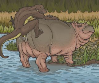 absurd_res anthro anthro_on_feral anthro_penetrating anthro_penetrating_feral anus ass balls biped bodily_fluids brown_body brown_skin claws common_hippopotamus cum cum_in_pussy cum_inside detailed_background digital_media_(artwork) duo erection female female_on_anthro female_penetrated feral feral_penetrated from_behind_position genital_fluids genitals grass grey_body half-closed_eyes hi_res hippopotamid interspecies lake larger_female larger_feral larger_penetrated lizard looking_back male male/female male_on_feral male_penetrating male_penetrating_female male_penetrating_feral mammal musorok narrowed_eyes nature nude open_mouth orgasm outside partially_submerged penetration penile penile_penetration penis penis_in_pussy perching_position plant pussy quadruped reptile river scales scalie sex size_difference small_dom_big_sub smaller_anthro smaller_male smile teeth vaginal_penetration water yellow_body yellow_scales zoophilia