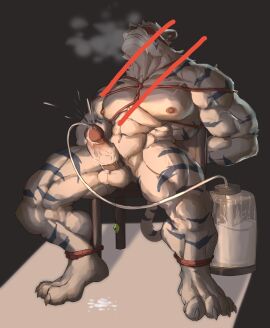 anthro bara bodily_fluids bondage bound breath catheter catheter_in_urethra censored chair clenched_teeth cum cum_on_ground drooling felid foreskin furniture genital_fluids genitals hands_behind_back hi_res humanoid_genitalia humanoid_penis lantiangou male male_focus male_only mammal medical_instrument milk_container muscular muscular_male nude object_in_urethra pantherine penetration penile penis penis_cuff penis_milking pubes raised_head restraints retracted_foreskin rope rope_bondage rope_harness saliva scientific_instrument simple_background sitting solo straining teeth tied_to_chair tiger uncircumcised urethral urethral_penetration vein veiny_penis white_body yaoi
