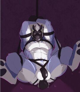 abs anal anal_sex anthro balls bent_legs bingling_(dragonbingling) black_chastity_cage blue_body bondage bondage_gear bondage_gloves bound chastity_cage chastity_device clothing cuff_(restraint) dildo dildo_in_ass dildo_insertion dildo_vibrator dragon eye_roll genitals gimp_mask hair hands_above_head hands_behind_head hands_tied handwear harness humanoid_genitalia humanoid_penis leather leather_cuffs legs_up male mask multicolored_body muscular muscular_male mythological_creature mythological_scalie mythology object_in_ass pawpads pecs penetration penis purple_background quads reclining restraints rhesa_dox scalie sex_toy sex_toy_in_ass sex_toy_insertion simple_background solo split_balls spread_legs spreading submissive submissive_male two-tone_body vibrator vibrator_in_ass white_body white_hair