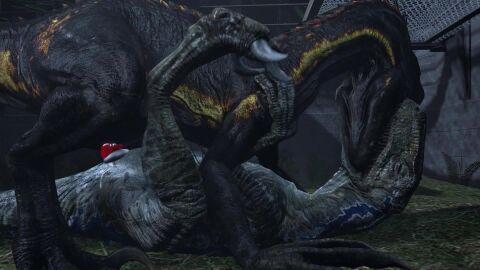 16:9 3d_(artwork) 3d_animation animal_genitalia animated biped bipedal_feral black_body black_scales blonde_highlights blue_(jurassic_world) bodily_fluids claws cloaca cloacal cloacal_penetration closed_eyes cum digital_media_(artwork) dinosaur dorsal_crest dromaeosaurid duo erection female female_penetrated feral feral_on_feral feral_penetrated feral_penetrating feral_penetrating_feral forest french_kissing frontier_developments genital_fluids genitals gentle_maledom gentle_sex grass hi_res highlights_(coloring) hybrid indoraptor ireallyliketanks jurassic_park jurassic_world jurassic_world_evolution kissing larger_female larger_feral larger_penetrated looking_pleasured loop lying male male/female male_feral male_penetrating male_penetrating_female moan nature night on_back on_top outside outside_sex penetration penile penile_penetration penis penis_in_cloaca plant prehistoric_species realistic_feral reptile ripper_(jurassic_world) rock romantic romantic_sex saurischian scales scalie sex short_playtime sickle_claw size_difference smaller_male sound tagme theropod toe_claws tree universal_studios velociraptor video widescreen