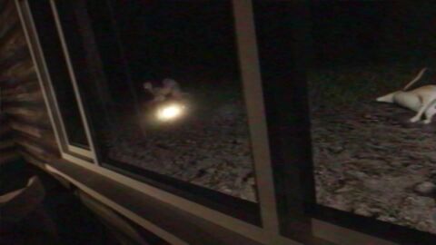 16:9 3d_(artwork) 3d_animation animated anthro ass big_butt bodily_fluids bottomwear breasts cabin claws clothed clothing creepy creepypasta cum cum_inside digital_media_(artwork) duo ejaculation english_text erection female forest genital_fluids genitals hair hi_res human humanoid humanoid_genitalia humanoid_penis justyschultz male male/female mammal monster monstrous_humanoid nightmare_fuel nipples not_furry nude open_mouth outside penetration penile penis plant sex smile sound sound_warning tagme teeth text the_rake tongue topwear tree vhs_filter video white_eyes widescreen