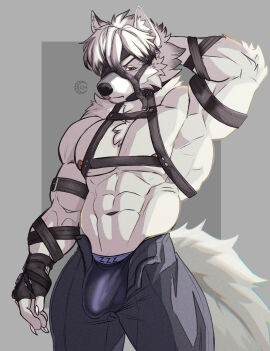 2024 abs anthro areola armband bangs bara biceps big_bulge big_muscles border bottomwear bulge canid canine canis classicmuzzle_(artist) claws clothed clothing detailed_bulge fingerless_gloves frown fur genital_outline gloves grey_background grey_border hair hand_behind_head handwear harness hi_res leather looking_at_viewer male male_only mammal mask mihoyo muscles muscular muscular_anthro muscular_male navel nipples obliques pants pecs penis penis_outline serratus simple_background solo solo_male standing straps thick_arms thick_thighs topless topless_anthro topless_male triceps tuft underwear unzipped von_lycaon watermark wolf yaoi zenless_zone_zero zipper