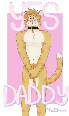 3:5 anthro blush chest_tuft chuck_(p_rindustries) collar collar_only collar_tag cover covering covering_crotch domestic_cat felid feline felis fur furry hair hi_res male mammal messy_hair nipples nude orange_body orange_fur p_rindustries pink_background pink_ears pink_nose pubes simple_background smile solo standing tabby_cat tail tuft whisker_spots white_background white_body white_fur