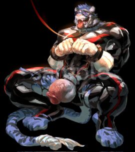 anthro balls begging begging_pose biceps black_background black_latex blue_body blue_hair bodily_fluids bondage boots chained_cuffs chains clothing crouching cuff_(restraint) cum cum_dripping_from_penis cum_string eyewear felid flaccid foreskin genital_fluids genitals goggles hair hi_res hudifeiren hypnosis latex male mammal mind_control pantherine penis pose quads restraints retracted_foreskin shackles simple_background skinsuit solo striped_body stripes submissive submissive_male three-quarter_view tiger tight_clothing tongue tongue_out uncircumcised vein veiny_penis watermark