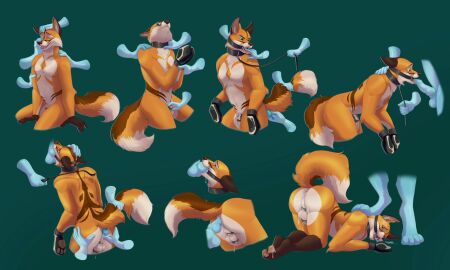 4_toes after_anal after_oral anal anal_plug anal_sex animal_genitalia anthro applying_chastity_device ass backsack balls ballsack bareback belly bent_over black_collar bodily_fluids bondage bondage_gear bondage_gloves bound brown_ears brown_legs brown_nose buttplug buttplug_in_ass buttplug_insertion canid canine canine_genitalia chastity_cage chastity_cage_only chastity_device chastity_device_only closed_eyes clothing collar collar_only collaring crazydonkey cum cum_drip cum_in_mouth cum_inside cum_on_ass cum_on_butt cum_on_feet cum_on_ground deepthroat digital_media_(artwork) digitigrade dipstick_tail discipline disembodied_foot disembodied_hand dominant dominant_male dripping ears_back erection fangs feet fellatio finger_in_mouth fox front_view fur gag gagged genital_fluids genitals green_background green_eyes group hand_on_shoulder handwear hi_res holding_leash holding_object humiliation knot leaning leaning_forward leash leash_pull leashed_collar male male/male mammal markings master/pet master/slave metal_chastity_cage narrowed_eyes nude object_in_ass on_ground open_mouth oral oral_penetration orange_body orange_fur orgasm paw_mitts pawpads penetration penile penile_penetration penis penis_in_ass penis_in_mouth penis_tip petplay petting petting_head pink_pawpads pivoted_ears plug_(sex_toy) plug_insertion precum precum_drip raised_head raised_tail rear_view red_fox restrained riding_crop ring_gag roleplay sequence sex sex_toy sex_toy_in_ass sex_toy_insertion sheath side_view simple_background sitting slave standing stepped_on submissive submissive_male surprise tail tail_grab tail_markings tan_belly teeth toes tongue tongue_out training trio true_fox whip white_tail_tip wide_eyed worried worried_look