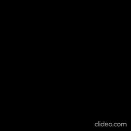 Image: 8626846