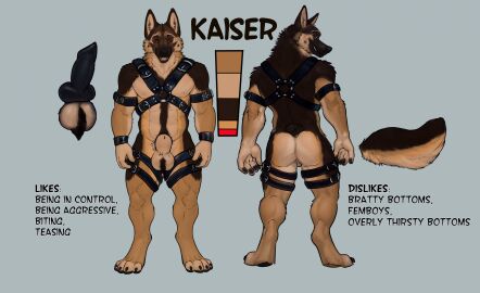 4_toes 5_fingers abs animal_genitalia animal_penis anthro arm_strap ass backsack balls balls_tuft ballsack black_nose black_pawpads black_penis body_hair broad_shoulders brown_body brown_fur canid canine canine_genitalia canine_penis canis character_name cheek_tuft claws close-up color_swatch crotch_tuft cuff_(restraint) digitigrade dipstick_toes domestic_dog english_text erection facial_tuft feet finger_claws fingers fluffy fluffy_tail front_view fur genital_close-up genitals german_shepherd grey_background happy_trail harness herding_dog hi_res information kaiser_(draftstallion2005) knot leg_strap looking_at_viewer looking_back male mammal mane model_sheet multicolored_body multicolored_fur multiple_angles muscular muscular_anthro muscular_male neck_tuft nipples open_mouth pastoral_dog pawpads paws pecs penis rear_view red_eyes restraints sheath simple_background smile solo standing sunitai tail teeth text toe_claws toes tongue toothy_grin tuft two-tone_body two-tone_fur wrist_cuffs