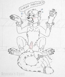 animal_genitalia animal_penis arms_tied balls begging_for_help black_nose blush blush_lines bodily_fluids bound bound_neck bound_to_wall claws erection felid feline feral forced_transformation fur genitals hair hi_res hindpaw human_to_feral icaron leopard loss_of_speech male mammal markings mid-transformation onomatopoeia open_mouth pantherine partially_colored patreon_username paws penis solo sound_effects species_transformation speech_bubble spots spotted_body spotted_fur sweat sweatdrop tail tail_motion text toe_claws transformation watermark