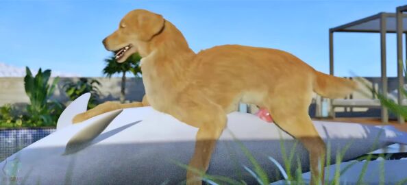 3d_(artwork) 3d_animation anal anal_sex animal_genitalia animal_penis animated bird_dog bondage bound bound_rostrum canid canine canine_genitalia canine_penis canis cetacean cowgirl_position digital_media_(artwork) dolphin domestic_dog duo erection feral feral_on_feral feral_penetrated feral_penetrating feral_penetrating_feral from_front_position genitals golden_retriever hunting_dog interspecies knot knotted_penis light_bondage loop lying male male/male male_penetrated male_penetrating male_penetrating_male mammal marine missionary_position on_back on_bottom on_top penetration penile penile_penetration penis pool realistic_feral retriever sex short_playtime sound tagme toothed_whale trioami260 video