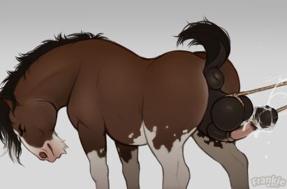 animal_genitalia animal_penis anus ballbusting balls balls_rope big_balls big_penis bodily_fluids brown_body brown_fur closed_eyes clydesdale cock_and_ball_torture cock_and_balls_torture cum cumshot docked_tail draft_horse ejaculation equid equine equine_genitalia equine_penis fenn.perrox feral fur genital_fluids genital_rope genital_torture genitals hi_res horse male mammal mane masochism penis penis_rope puffy_anus rope rope_around_balls rope_around_penis short_tail solo tail