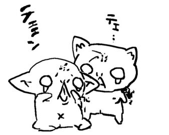 Image: 1582064