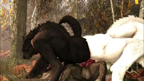 2_penises 3d_(artwork) 3d_animation anal anal_sex animal_genitalia animal_penis animated anthro anthro_on_anthro anthro_penetrated anthro_penetrating anthro_penetrating_anthro argonian balls bethesda_game_studios big_balls big_penis black_body black_fur canid canine canine_genitalia canine_penis crouching day deeja digital_media_(artwork) diphallism dominant_futa erection fur futa_on_male futa_penetrating futa_penetrating_male futa_with_male futadom futanari genitals glistening glistening_genitalia glistening_knot glistening_penis group group_sex gynomorph gynomorph/male huge_balls huge_cock intersex intersex/male knot lying male male_penetrated mammal microsoft multi_genitalia multi_penis mythological_canine mythological_creature mythology no_sound nude on_back open_mouth outside penetration penile penile_penetration penis penis_in_ass plant rayhuma scalie sex short_playtime skyrim skyrim_werewolf tagme tail the_elder_scrolls thick_thighs threesome tree trio video werecanid werecanine werecreature werewolf white_body white_fur wide_hips