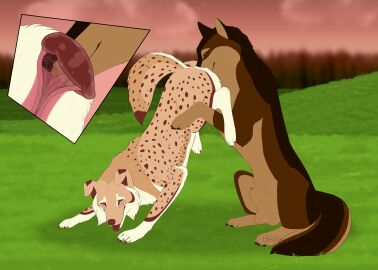 2024 4_toes amber_eyes anatomically_correct anatomically_correct_genitalia anatomically_correct_penis anatomically_correct_pussy animal_genitalia animal_penis animal_pussy anus australian_shepherd balls black_sclera bodily_fluids brown_body brown_fur canid canine canine_genitalia canine_penis canine_pussy canis claws close-up cunnilingus cutaway deep_cunnilingus digital_drawing_(artwork) digital_media_(artwork) digitigrade domestic_dog duo erection evening feet female female_penetrated feral feral_on_feral feral_penetrated feral_penetrating feral_penetrating_feral floppy_ears from_behind_position fur genital_fluids genitals grass hedonophobia_h herding_dog hi_res internal internal_vaginal karn_(karn_the_wolf) male male/female male_penetrating male_penetrating_female mammal markings muzzle_fuck nose_in_pussy oral paprika_(imperial-exe) pastoral_dog paws penetration penis penis_tip plant precum pussy quadruped raised_tail red_eyes saliva saliva_on_tongue sex sheath sheepdog sky skyscape snout_fuck spots spotted_body spotted_fur standing standing_oral standing_sex tail tail_anus tan_body tan_fur toes tongue tongue_out tree vaginal_canal vaginal_fluids vaginal_penetration wheelbarrow_position white_body white_fur wolf