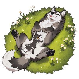 4_toes absurd_res ai_generated alpha_channel ambiguous_gender anotheranon black_body black_fur black_nose black_pawpads blep canid canine canis claws countershading cuddling digitigrade dipstick_tail duo eyes_closed featureless_crotch feet female feral flower fluffy fur furry grass grey_body grey_fur happy hi_res incest_(lore) larger_female larger_feral lying male mammal markings mommy mother mother_and_child mother_and_son multicolored_body multicolored_fur nude on_back on_grass outside parent parent_and_child pawpads paws pinned plant playing presenting_belly quadruped simple_background size_difference smaller_male smile spread_legs spreading tail tail_markings tail_motion tailwag toe_claws toes tongue tongue_out transparent_background tuft white_body white_fur wholesome_content wolf yellow_eyes