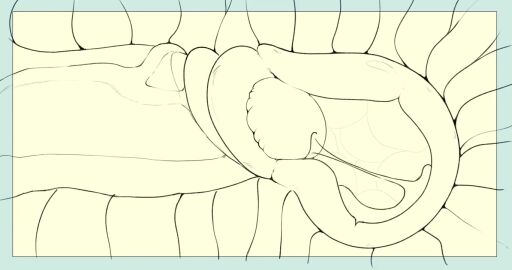 1boy 1girls animated big_penis black_and_white cervical_penetration cervix cum cum_in_pussy cum_in_uterus cum_inside cumshot ejaculation ejaculation_bulge female female_penetrated huge_cock internal_cumshot internal_view jadenarts male male/female male_penetrating male_penetrating_female no_sound orgasm penis pulsating_cumshot pumping_cum pussy sex short_playtime shorter_than_10_seconds shorter_than_30_seconds tagme throbbing throbbing_penis uterus vaginal_penetration video x-ray