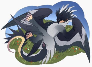 anus black_body black_feathers black_pawpads dragon european_mythology feathers female feral genitals hi_res mythological_creature mythological_scalie mythology pawpads presenting presenting_vulva purple_anus purple_vulva scalie solo tiama vulva western_dragon wyvern