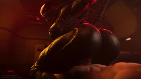 3d_(artwork) 3d_animation alien alien_(franchise) alien_vs_predator angrydraconequus animated anthro areola ass big_breasts big_butt bouncing_breasts bouncing_butt breasts butt_jiggle butt_slap digital_media_(artwork) duo female female_xenomorph first_person_view genitals hi_res huge_filesize human jiggle_physics jiggling long_playtime male male/female mammal nipples no_sound on_bottom on_top penetration penile penile_penetration penis penis_in_vagina reverse_cowgirl_position sex slap spanking tagme tail thick_thighs vaginal_penetration video wide_hips xenomorph xenophilia