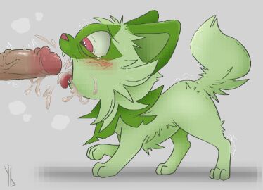 ambiguous_gender blush bodily_fluids cum cum_in_mouth cum_inside cum_on_face disembodied_penis ejaculation feral fur furry generation_9_pokemon genital_fluids genitals green_body green_fur humanoid_genitalia humanoid_penis male nintendo open_mouth orgasm paws penis pink_eyes pokemon pokemon_(species) questionable_consent shaking simple_background solo sprigatito sweat tongue trembling white_background yaldabroth