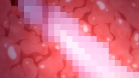 1boy 1girls 2022 20s age_difference animated anime_screencap aunt_and_nephew censored cervix condom condom_on_penis deep_penetration female garden_~takamine-ke_no_nirinka~ large_penis male mosaic_censoring older_woman_and_younger_man penis pink_pineapple pussy sex tagme takamine_kasumi tomoya_(garden_~takamine-ke_no_nirinka~) twitching_womb uterus vaginal_penetration x-ray