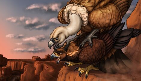 absurd_res accipitrid accipitriform anatomically_correct avian bird dominant dominant_male eagle feral ferobird golden_eagle griffon_vulture hi_res interspecies interspecies_domination kissing male male/male old_world_vulture roy_(ferobird) sawyer_(ferobird) sex submissive submissive_male tongue tongue_out true_eagle vulture