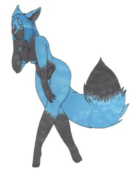 acoustic anthro balls blue_body blue_fur canid canine erection fox fur futanari genitals humanoid_genitalia humanoid_penis intersex jangothebluefox mammal penis solo tagme