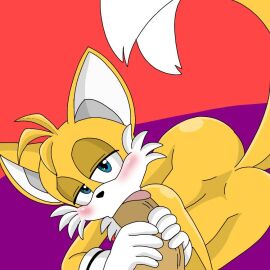 2_tails ass blowjob blue_eyes blush duo ear fellatio fox furry gay hands_on_penis looking_at_viewer looking_pleasured male male/male multi_tail penis sonic_(series) sonic_the_hedgehog_(series) spanky15 tails tails_the_fox tongue tongue_out yellow_body yellow_fur