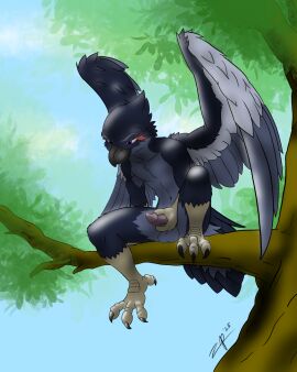 2025 anthro avian balls beak being_watched bird black_beak black_body black_feathers branch claws corvid corvus_(genus) erection feathers genitals grey_body grey_feathers gripping_penis hand_on_penis hi_res looking_at_another male masturbation nude oscine outside passerine penis plant raven sitting sitting_on_tree solo spread_wings toe_claws tree white_body white_feathers wings zephyrpanthur