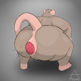 2024 absurd_res anal_prolapse anthro anus arkaneanarchist_(artist) ass belly big_ass big_belly big_breasts big_butt bodily_fluids breasts brown_body brown_fur brown_skin colored crouching digital_drawing_(artwork) digital_media_(artwork) female flexing_anus fur gaping gaping_anus genital_fluids genitals hair hi_res huge_ass huge_belly huge_butt huge_hips huge_thighs male mammal murid murine nude obese obese_anthro obese_female overweight overweight_anthro overweight_female plump_labia prolapse pussy raised_tail rat rear_view rodent shaded simple_background solo tail thick_thighs wet wide_hips