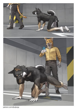 absurd_res all_fours anthro ass athletic athletic_anthro athletic_male balls black_body black_fur bodily_fluids bound camera canid canine canis captured cellphone chastity_device clothed clothed/nude clothing collar collared_shirt comic domestic_cat domestic_dog duo electronics felid feline felis forced_exposure forced_urination foreskin fur gay gay_male genital_fluids genitals hi_res humanoid_genitalia humiliation interspecies kemono leash leashed_collar male male/male mammal multicolored_body multicolored_fur muzzle_(object) muzzled nude nude_anthro nude_male peeing penis pet_play petplay phone pngx pointy_ears shadow shiba_inu shirt smartphone spitz steam text topwear two-tone_body two-tone_fur uncircumcised urine url yaoi