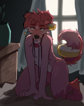 absurd_res all_fours anthro backlighting canid canine canis collar domestic_dog dresser food foreskin fruit fur furniture genitals gmomayonnaise hi_res humanoid_genitalia humanoid_penis kneeling kneeling_on_ground lemon light lighting male mammal penis pink_body pink_fur plant plant_pot potted_plant red_collar red_penis solo uncircumcised window