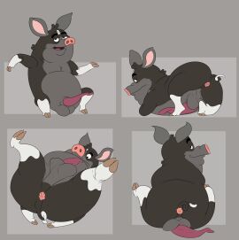 absurd_res allenden animal_genitalia animal_penis anus ass balls balls_lift balls_on_feet bent_legs bento_box_entertainment berkshire_pig black_body black_fur bob-jiggles collage_(artwork) domestic_pig erection eyebrows feral_only fox_corporation fur genitals grey_background half-closed_eyes hands_on_ground hi_res hooves housebroken kapital_entertainment legs_up looking_at_viewer looking_back looking_back_at_viewer looking_down lying male male_only mammal max_(housebroken) mermen_branded multicolored_body narrowed_eyes on_back on_front open_mouth overweight overweight_male penis penis_on_belly pig porcine_penis presenting presenting_hindquarters raised_arms raised_tail rear_view rounded_ears simple_background sitting smile smiling_at_viewer smirk smirking_at_viewer snout solo spread_legs spreading suid suine sus_(pig) tail tail_anus thick_eyebrows tongue