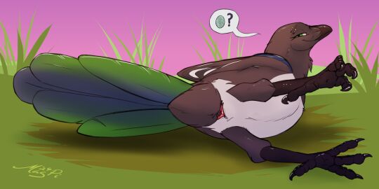 2024 4_toes ambiguous_feral ambiguous_gender animal_genitalia avian beak bedroom_eyes biped bird black_beak black_body black_feathers cloaca corvid countershading digitigrade egg eyebrow_piercing facial_piercing feathers feet female female_(lore) feral folded_wings genitals grass green_body green_eyes green_feathers hi_res horizontal_cloaca looking_at_viewer lying magpi magpie_(corvid) narrowed_eyes on_side oscine outside passerine piercing pink_cloaca plant presenting presenting_cloaca raised_leg seductive smile solo speech_bubble toes white_body white_countershading white_feathers wings