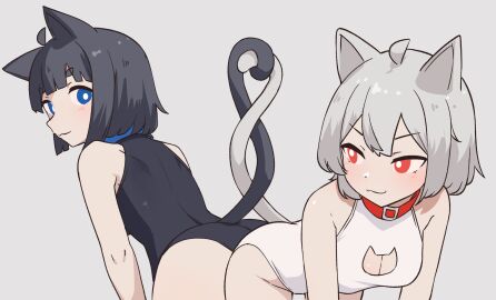 2girls ass big_ass big_butt black_dress black_hair blackcat_(daebom) blue_eyes boob_window breasts cat_ears cat_girl cat_tail catgirl collar daebom female female_only hellcat_(daebom) horny looking_back m18_hellcat multiple_females multiple_girls patreon red_eyes small_breasts tagme war_thunder white_background white_body white_dress
