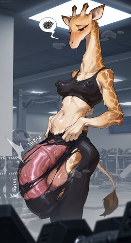 1futa 1girls anthro background balls blush blushing boobs breasts cock ears female furry futanari giraffe giraffe_ears giraffe_girl giraffe_horns giraffe_tail gym gym_uniform horsecock huge_cock huge_penis nipples_visible_through_clothing onomatopoeia penis reagan_long sweat sweatdrop sweating tail testicles torn_clothes torn_pants