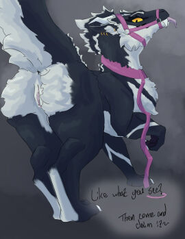 absurd_res amber_(wyrmiestwyrm) amber_eyes ass claws collar dragon ear_piercing female feral_dragon fur furred_dragon furred_scalie genitals hi_res inner_ear_fluff leash leashed_collar looking_at_viewer looking_back muzzle_(object) muzzled mythological_creature mythological_scalie mythology nude piercing pussy scalie solo tail text tongue tongue_out tuft white_body white_fur wyrmiestwyrm