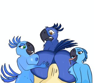 absurd_res anal anthro ass avian bia_(rio) big_ass big_breasts big_butt big_penis bird bisexual blue_sky_studios bodily_fluids breasts brown_eyes bubble_ass bubble_butt butt_lick carla_(rio) clenched_teeth female genitals green_eyes hi_res human incest licking macaw male male/female male/male mammal neotropical_parrot nervous parrot penis rio_(series) saliva seductive shadowriox3 siblings sweat sweaty_ass sweaty_butt teeth tiago_(rio) tongue true_parrot wide_hips
