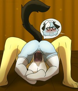 absurd_res animal_crossing anthro anus ass balls blush canid canine canis chromer_exe clothing domestic_cat domestic_dog duo felid feline felis female futanari genitals hi_res intersex intersex/female isabelle_(animal_crossing) maid_uniform mammal nintendo penetration penile penile_penetration penis penis_in_pussy pussy raymond_(animal_crossing) sex shih_tzu tail text toy_dog uniform vaginal_penetration