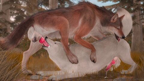 3d_(artwork) amber_eyes anal anatomically_correct animal_genitalia animal_penis autumn balls black_nose blodrain blurred_background bodily_fluids brown_body brown_fur canid canine canine_genitalia canine_penis canis claws closed_eyes cum cum_in_mouth cum_inside cum_on_face cum_on_ground cum_on_penis detailed_background digital_media_(artwork) duo feral feral_on_feral forest fur genital_fluids genitals grass hi_res knot knotted_penis leaking_cum leaking_precum looking_pleasured male male/male mammal oral oral_penetration paws penetration penis plant precum raised_tail realistic_feral sheath sky spread_legs spreading tail tail_down teeth toe_claws tongue tongue_out tree white_body white_fur wolf