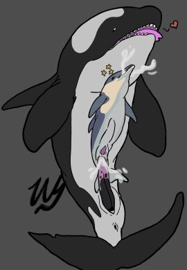 anal anal_sex animal_genitalia animal_penis anus ass black_body bodily_fluids bulge cetacean cetacean_genitalia cetacean_penis common_dolphin cum cum_from_mouth cum_in_ass cum_in_mouth cum_inside cum_through detailed_bulge digital_drawing_(artwork) digital_media_(artwork) dolphin dorsal_fin duo erection feral fin fucked_silly genital_fluids genital_outline genitals grey_body heart_symbol hi_res inflation leaking_cum looking_pleasured male male/male male_penetrated male_penetrating male_penetrating_male mammal marine multicolored_body multicolored_penis neck_bulge oceanic_dolphin open_mouth orca penetration penile penile_penetration penis penis_outline sex signature simple_background size_difference star stomach_bulge tail tail_fin tapering_penis teeth tongue tongue_out toothed_whale two-tone_body two-tone_penis wyrmling_(artist)